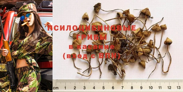 ГАЛЛЮЦИНОГЕННЫЕ ГРИБЫ Арсеньев