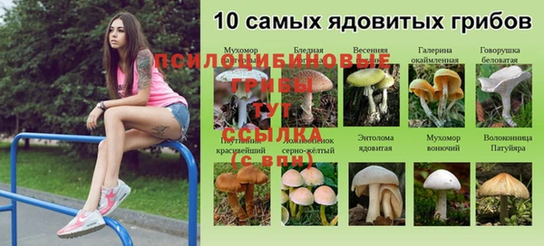 метадон Аркадак